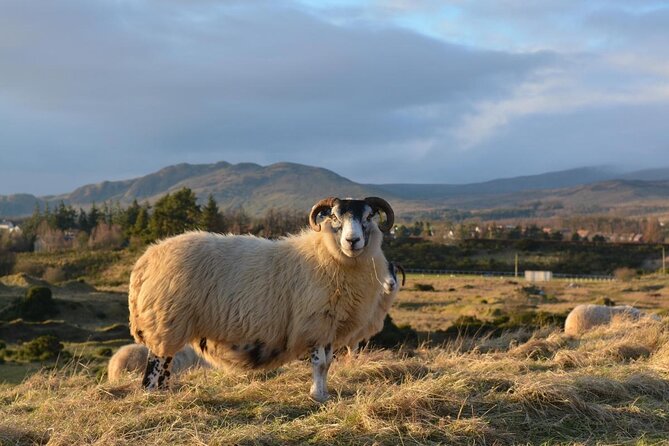 1 Day Castles, West Highlands and Loch Lomond Tour from Edinburgh - From Edinburgh to Doune Castle at 8 a.m.