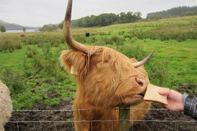 1 Day Tour from Inverness - Isle of Skye, Fairy Pools, and Eilean Donan Castle - Walking to the Fairy Pools beneath the Cuillin