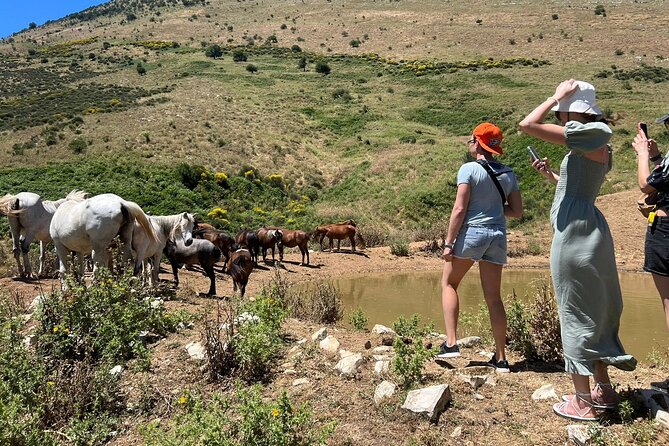 1-Day Tour in Blue Eye, Monastery, Gjirokaster and Lekursi Castle - Lekursi Castle and the final view over Saranda