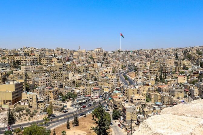 1 Day Tour to Amman Jerash and Ajloun castle - What the private driver adds to the day