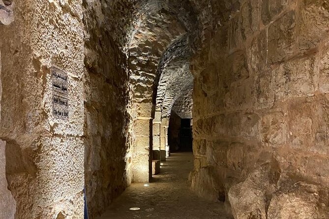 1 Day Tour to Amman Jerash and Ajloun castle - Amman Citadel: begin above the city