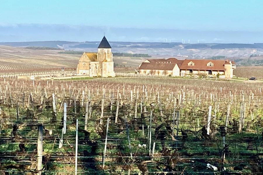 15 Burgundy Wines Chateau Pommard, Chablis Small-Group - Key points at a glance