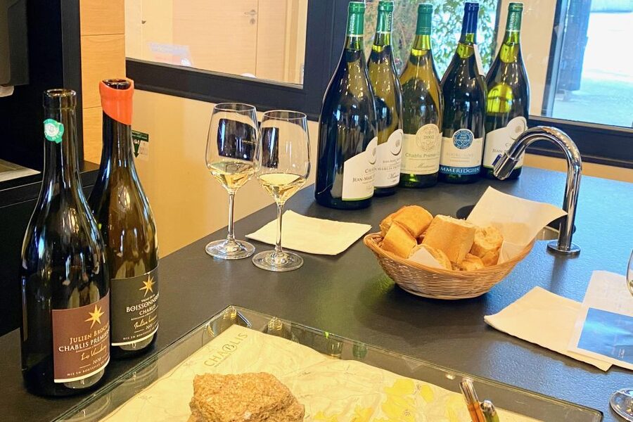 15 Burgundy Wines Chateau Pommard, Chablis Small-Group - Who should book this wine day