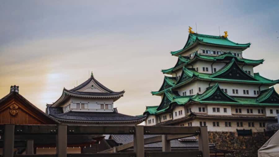 2.5-Hour Nagoya Tour: Castle History, Local Food & City View - What the guide adds to a short visit