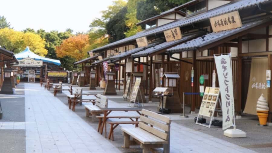 2.5-Hour Nagoya Tour: Castle History, Local Food & City View - Is $41 a fair price?