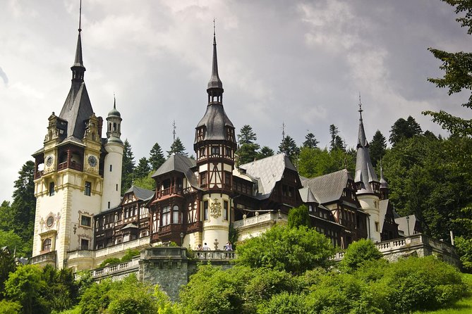 2-Day Small-Group Tour to Dracula's Castle, Rasnov Fortress, Peles Castle, Sighisoara and Libearty Brown Bear Sanctuary with Overnight in Brasov - Libearty Bear Sanctuary: the most distinctive stop