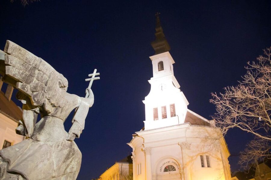 2 Hours Buda Castle Walking Tour - Walk with a Historian - Who should book this walk