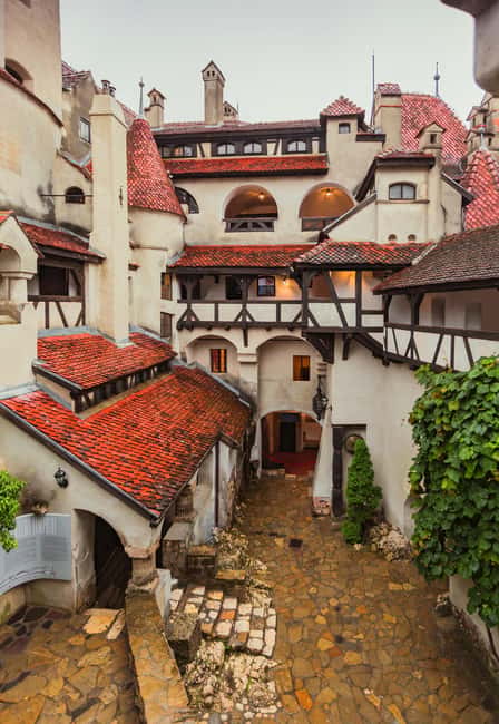 3 Castle Bucharest: Dracula Castle, Wednesday & Peles Castle - Who should book this castle tour?