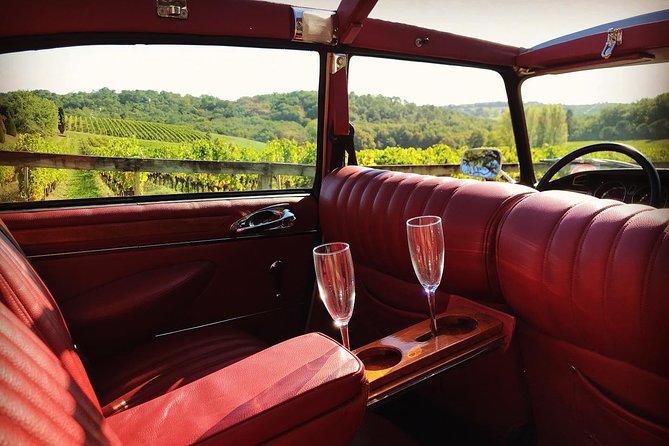 3H private city tour of Bordeaux and vineyard in a Citroën DS - South to the Pessac-Léognan wine estates