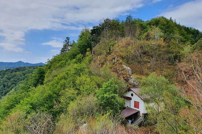 7-hour Private Tour to Bran Castle from Bucharest - Does the day include Peles Castle?
