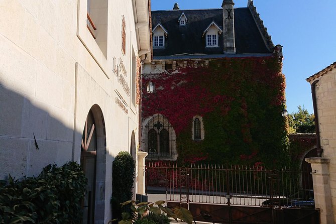 A day in Saint-Émilion and its Châteaux in a private tour (Van Luxe) - A full day from Bordeaux to Saint-Émilion