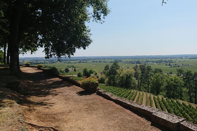 A day in Saint-Émilion and its Châteaux in a private tour (Van Luxe) - Understanding Bordeaux wine without a lecture hall