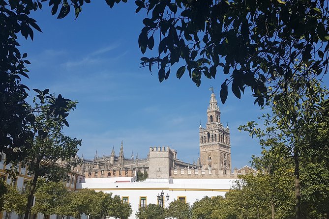 Alcazar and Cathedral of Seville Tour with Skip the Line Tickets - The Giralda: a 25-minute climb for city views
