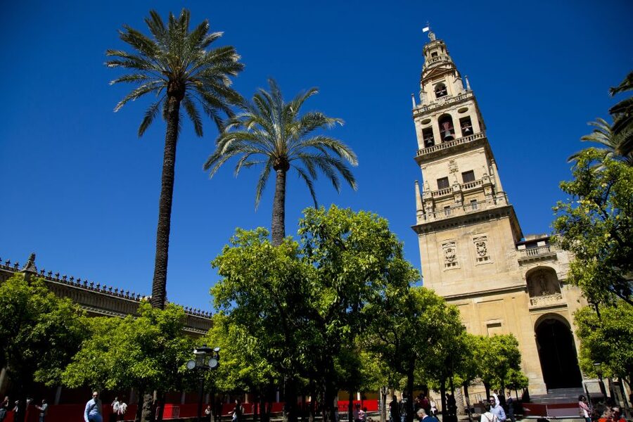 Alcazar of Cordoba Entry Ticket and Guided Tour - From fortress ground to royal palace