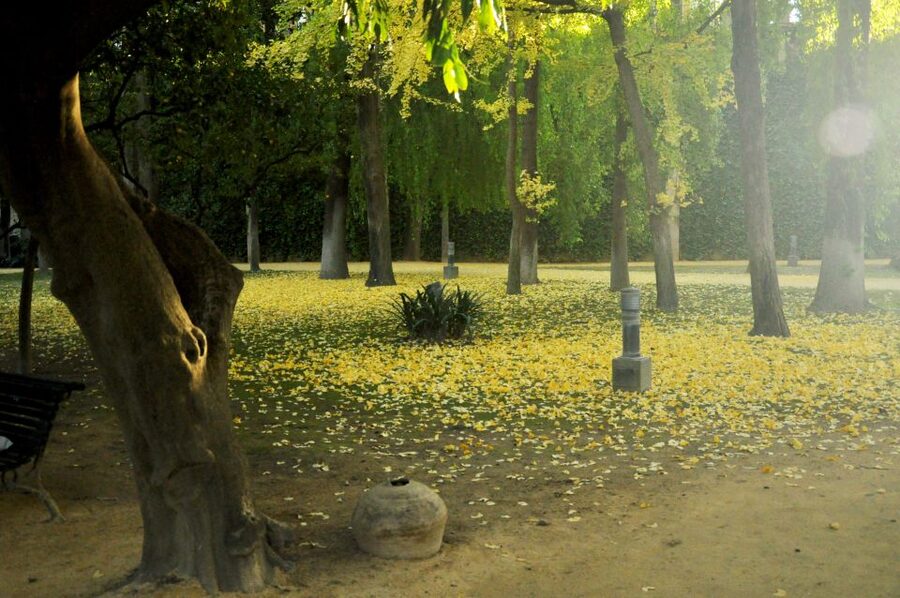 Alcázar of Seville Skip-the-Line Tickets and Guided Tour - The guides make the difference