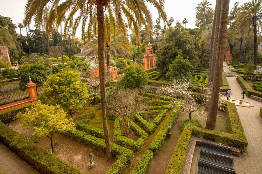 Alcázar of Seville Skip-the-Line Tickets and Guided Tour - Timing, language, and comfort