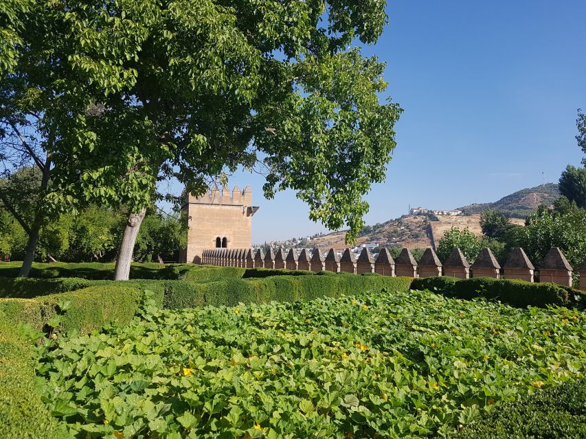 Alhambra: Generalife Gardens & Alcazaba Fast-Track Tour - The Important Nasrid Palaces Question