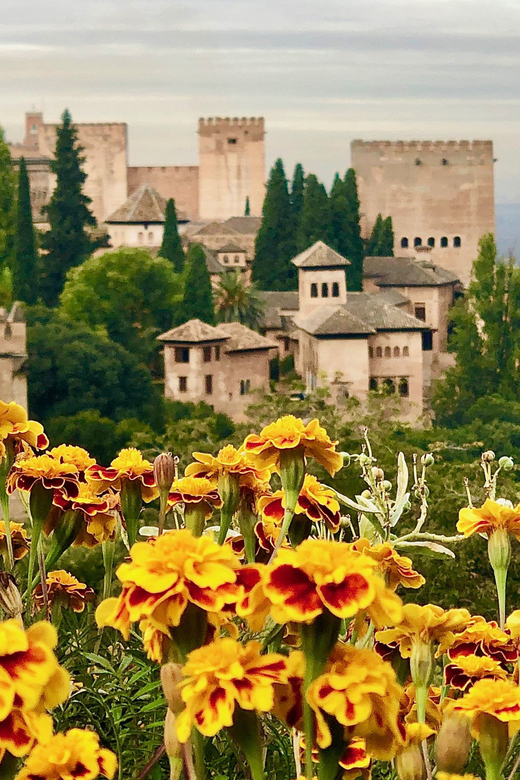 Alhambra: Guided Private Tour with Fast-Track Entry - Charles V Palace: a sharp change in style
