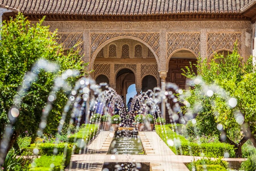 Alhambra: Guided Private Tour with Fast-Track Entry - The Nasrid Palaces: the main event