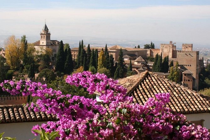 Alhambra Guided Tour & Albaicin Tour from Seville - The Alhambra visit depends on the option you select