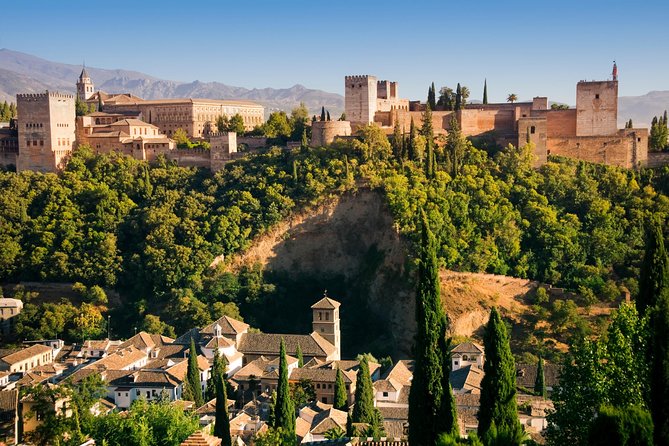 Alhambra Private/Small Group Tour & Nasrid Palaces Skip the Line - Reading the Nasrid Palaces room by room