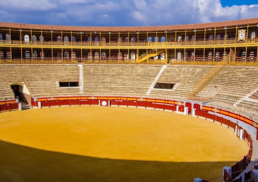 Alicante: Bullring and Castle Guided Tour with Taxi Transfer - Is $77 a fair price?