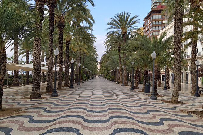Alicante Highlights Private Tour with Castle - Basilica of St Mary and the old quarter