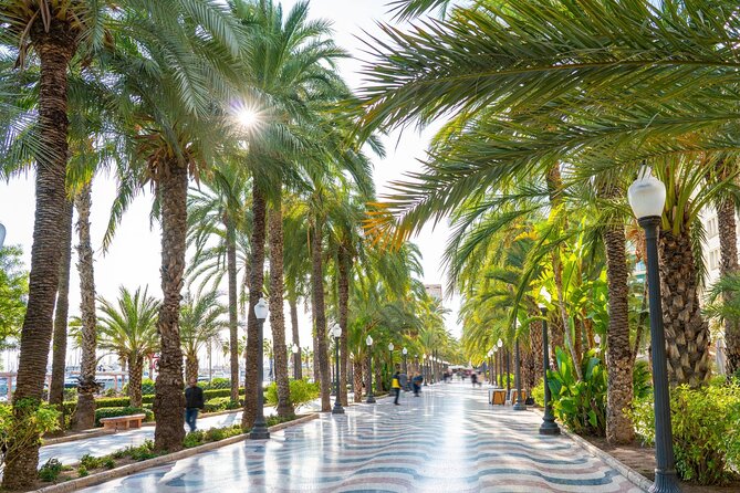 Alicante Tour: Full City, Castle, Market & Tapas Experience - City Hall and the Basilica Santa Maria