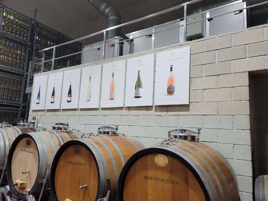 Alicante:Winery Tour+ Wine Tasting + Old castle - Key points at a glance