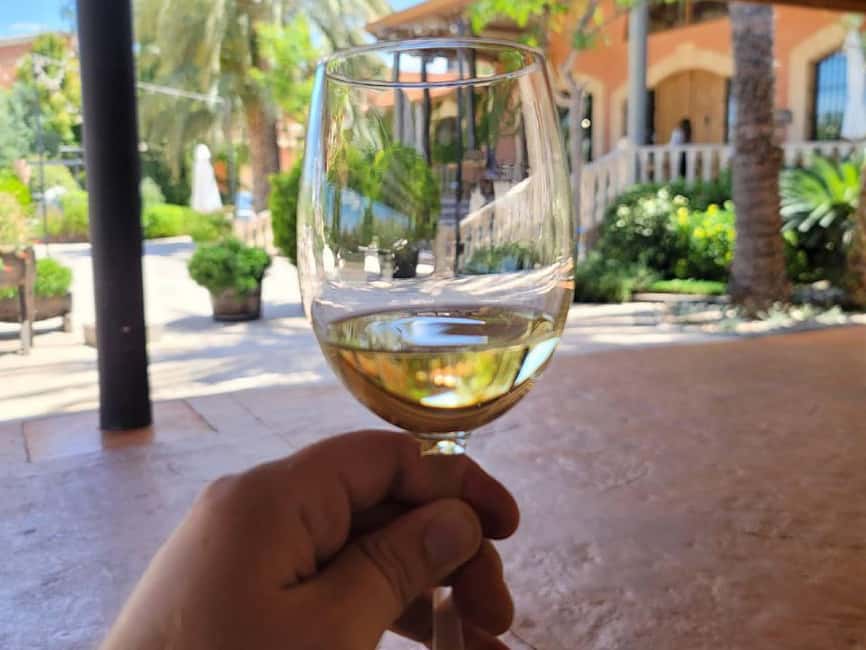 Alicante:Winery Tour+ Wine Tasting + Old castle - Inside the winery’s production rooms