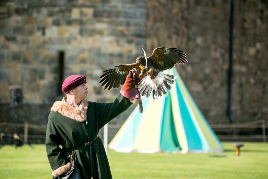 Alnwick: Alnwick Castle Ticket - Food, value, and how long to stay