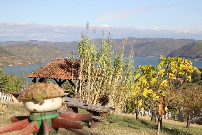 Along the Danube: Golubac Fortress & Iron Gate Gorge day trip from Belgrade - The Iron Gate cruise is the day’s grand finish