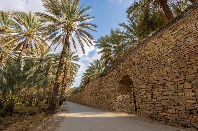 Amouage & Nizwa Full-Day Tour: Fort, Souq & Barakat Al Mouz - What the guide adds to the day