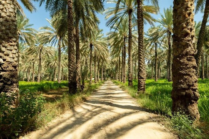 Amouage & Nizwa Full-Day Tour: Fort, Souq & Barakat Al Mouz - Is $165 per person a fair price?