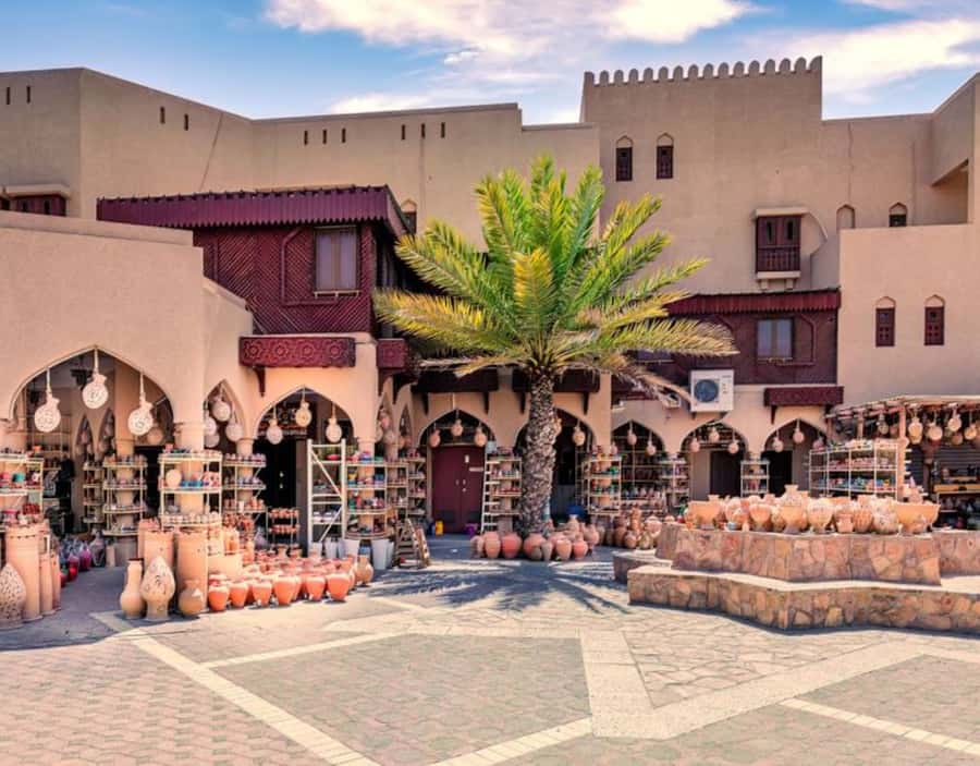 Amouage & Nizwa Full-Day Tour: Fort, Souq & Barakat Al Mouz - Who should book this Nizwa day trip?