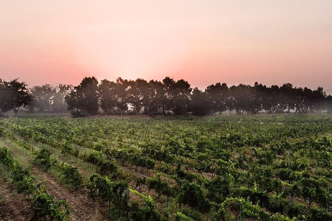 Baalback , Anjar & Chateau Ksara - Private transport for one to four people