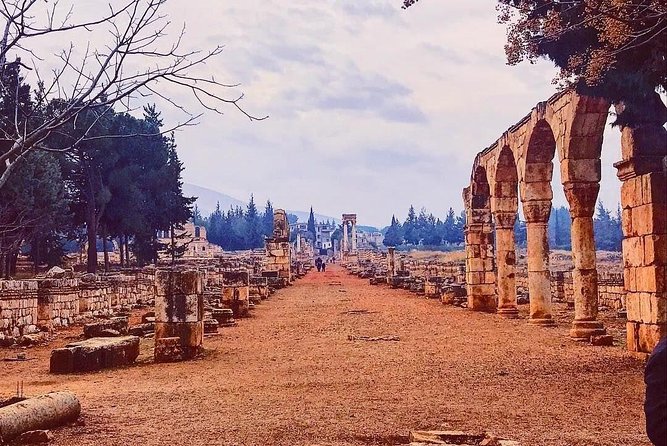 Baalback , Anjar & Chateau Ksara - Should you book the Baalbek, Anjar, and Ksara trip?