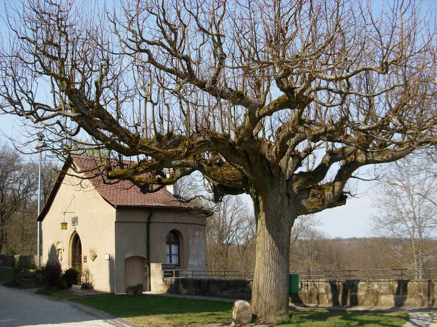 Bamberg: Altenburg Burg Tour - What the $15 price gets you