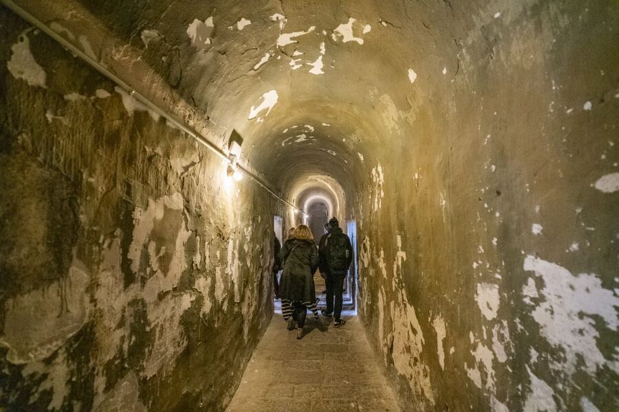 Barcelona: Walking tour with Montjuic Castle & Cable Car - El Raval and the Botero Cat