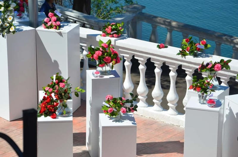 Batumi: Botanical Garden, Petra Fortress and Miniatures Park - Petra Fortress: a short visit with a big setting