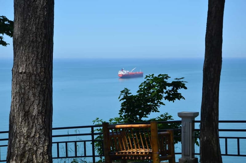 Batumi: Botanical Garden, Petra Fortress and Miniatures Park - Batumi Botanical Garden: two hours above the Black Sea