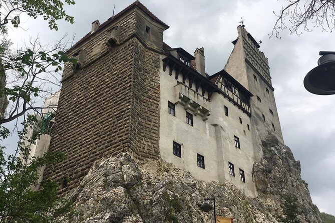 Bear Sanctuary and Bran Castle from Brasov - The sanctuary visit has a serious message