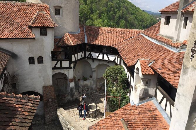 Bear Sanctuary and Bran Castle from Brasov - Who should book this half-day trip?