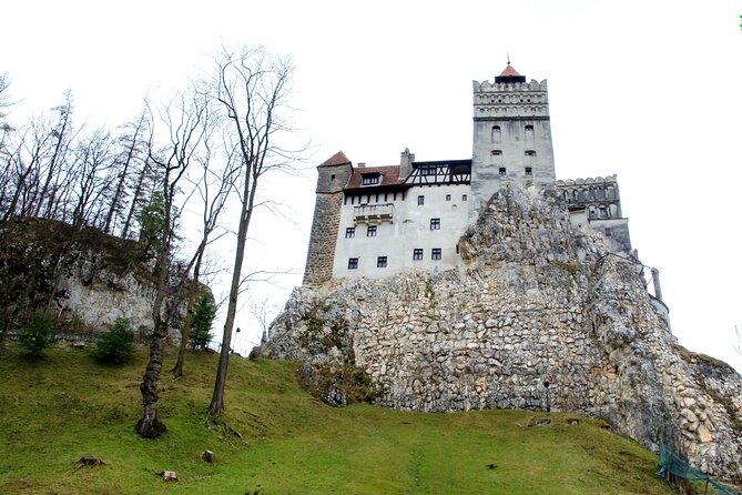 Bear Sanctuary and Bran Castle from Brasov - Libearty Bear Sanctuary: the heart of the morning