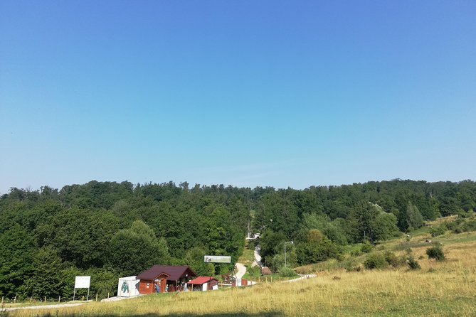 Bear Sanctuary and Dracula's Castle, 1-day Private Tour - Leaving Bucharest at 6:30 am