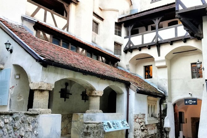 Bear Sanctuary and Dracula's Castle, 1-day Private Tour - Brașov and possible extra stops