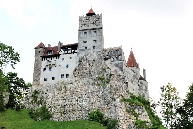 Bear Sanctuary and Dracula's Castle, 1-day Private Tour - Who should book this private Transylvania day?