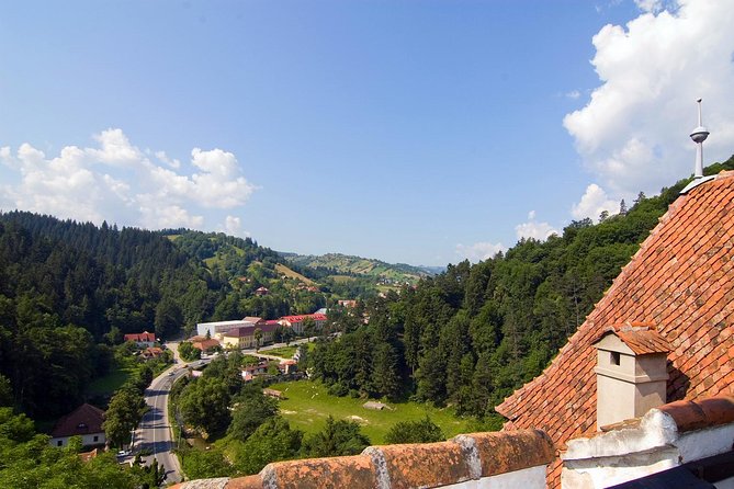 Bear Sanctuary, Bran (Dracula) Castle, Peles Castle From Brasov - The mountain drive to Peles Castle