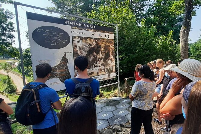 Bears Sanctuary, Dracula Castle and Poiana Brasov-Private day tour from Brasov - What the private vehicle changes