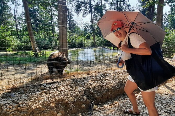 Bears Sanctuary, Dracula Castle and Poiana Brasov-Private day tour from Brasov - Timing, tickets, and cancellation details